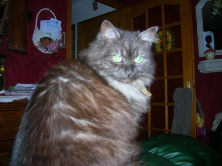 .................................